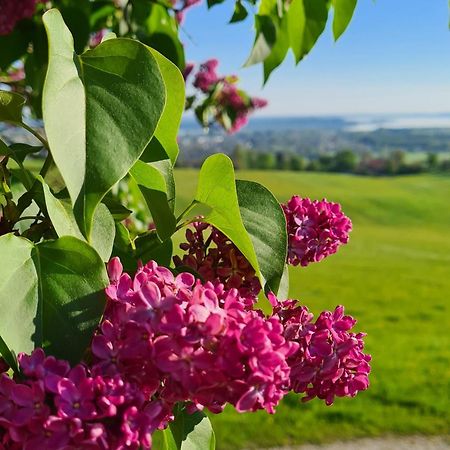 Schleipfnerhof Urlaub Auf Dem Bauernhof Bernau am Chiemsee Exterior foto