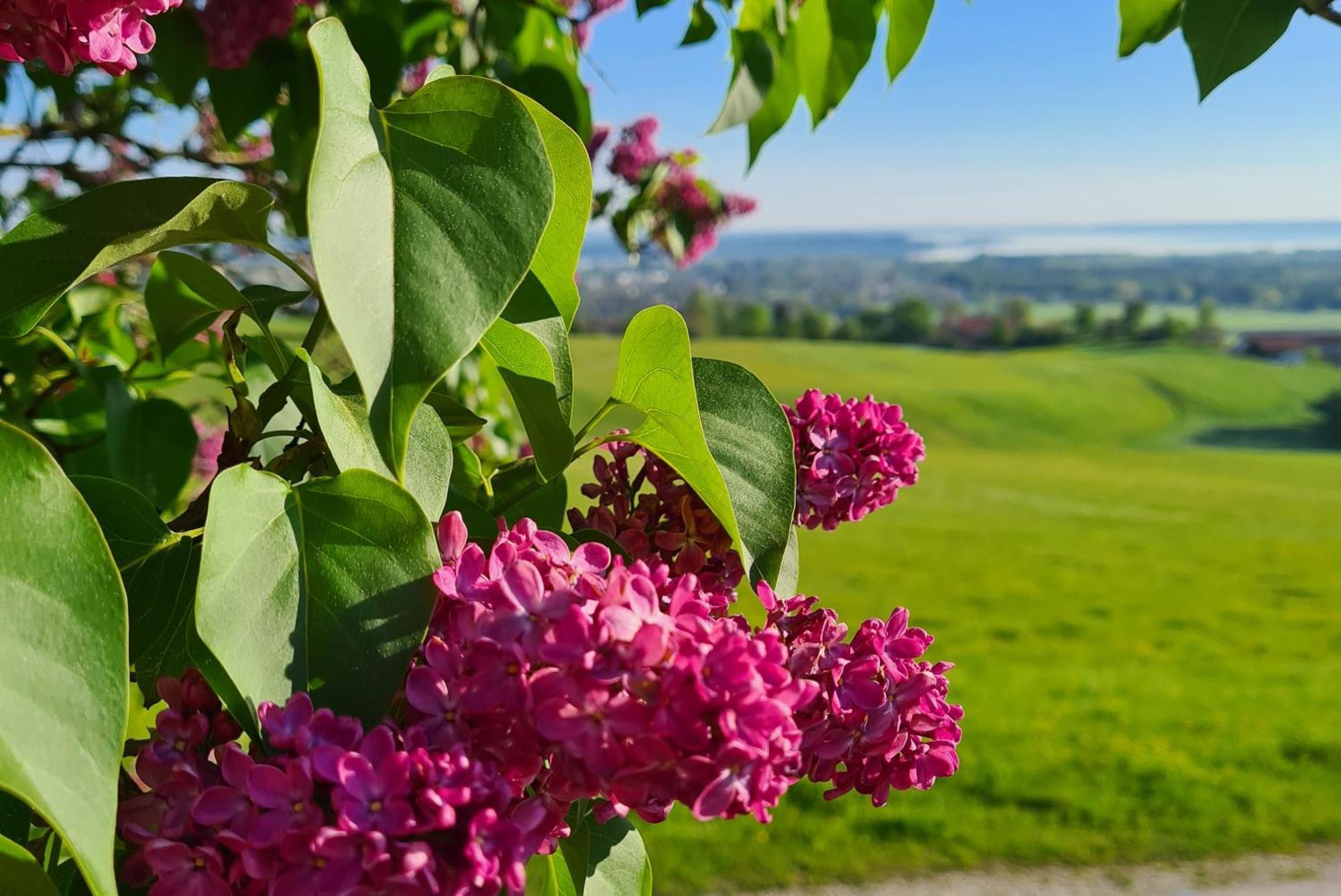 Schleipfnerhof Urlaub Auf Dem Bauernhof Bernau am Chiemsee Exterior foto